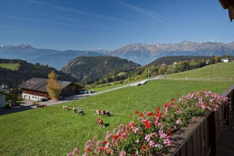 Ausblick vom Balkon