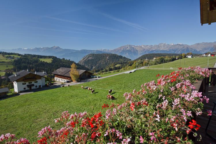 Ausblick vom Balkon